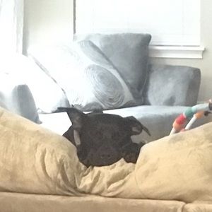 Meet your Posher, Andrea